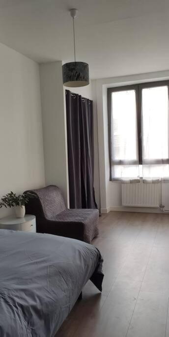 Logement 5 Personnes Proche Cv Et Parking Prive Apartman Saint-Etienne  Kültér fotó
